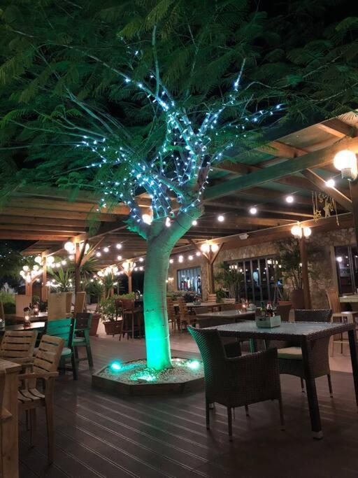 Beach Front Apartment With Stunning Ocean Views! Costa Calma Dış mekan fotoğraf